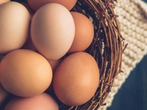 Large Free Range Eggs (6 Pack)